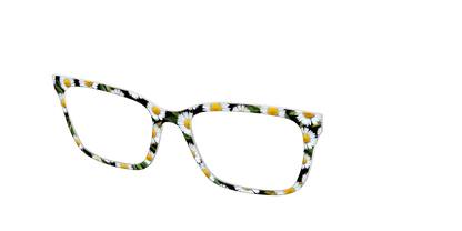The Delicate Daisies