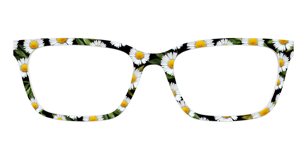 The Delicate Daisies
