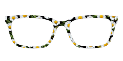 The Delicate Daisies