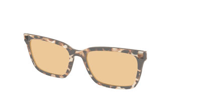 The Neutral Tort Crystal With Umber Brown lens