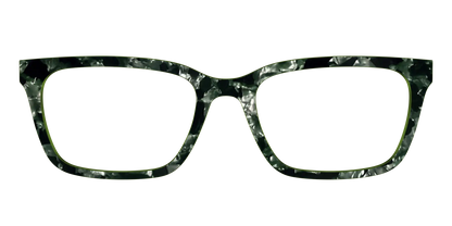 The Olive Pearl Tortoise