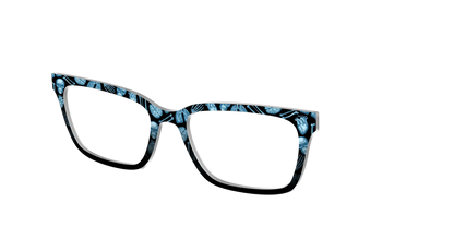 The X-Ray Vision