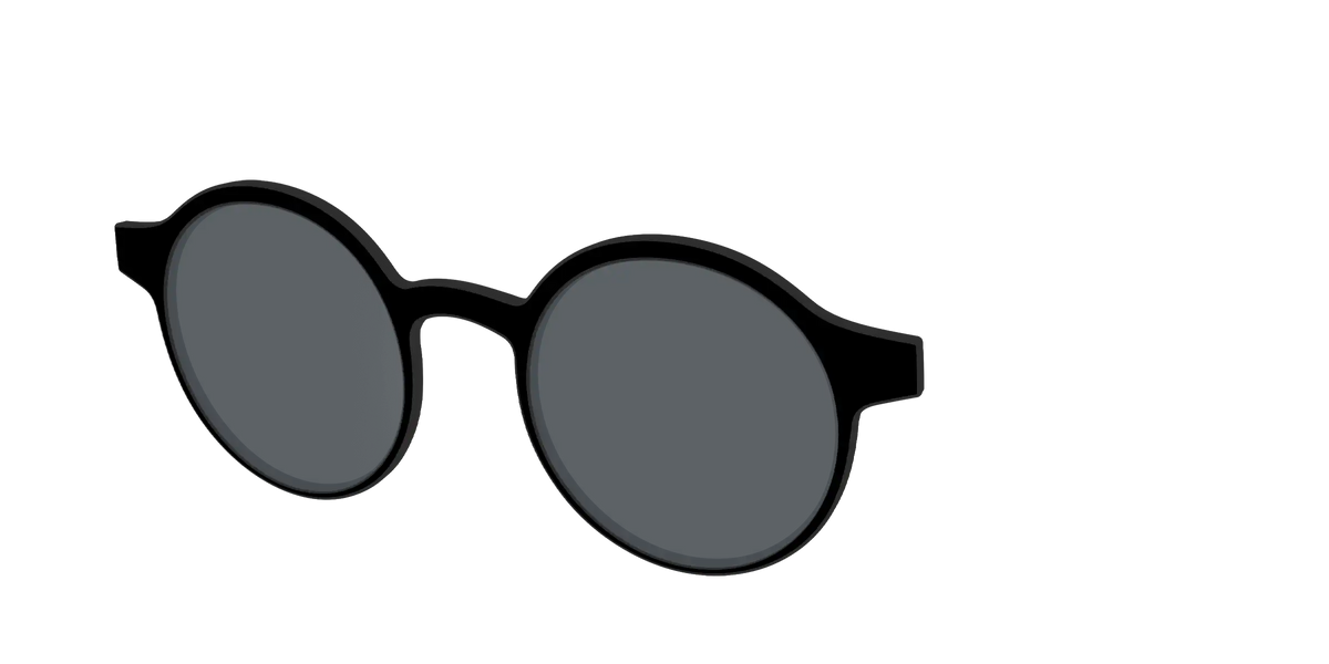 The Polarized Black Sun Top