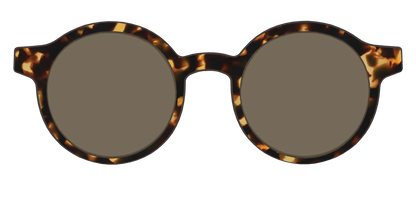 The Non-Polarized Tortoise Sun Top