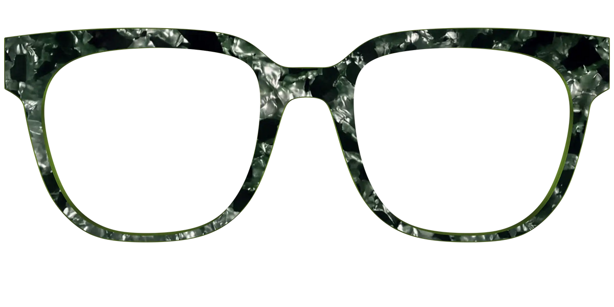 The Olive Pearl Tortoise