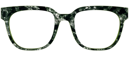 The Olive Pearl Tortoise