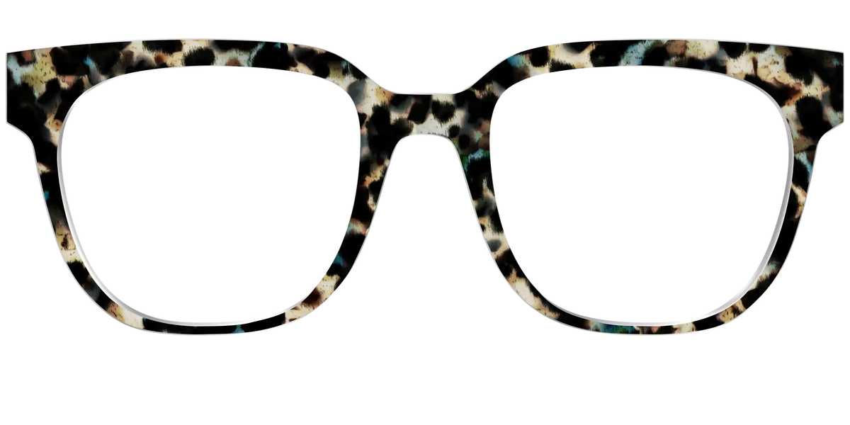 The Tumbled Teal Tortoise
