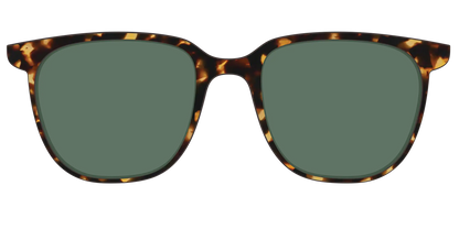 The Non-Polarized Green Tortoise Sun Top