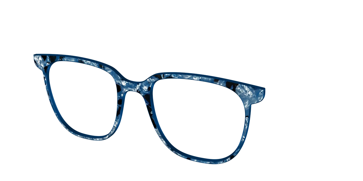 The Midnight Blue Pearl Tortoise