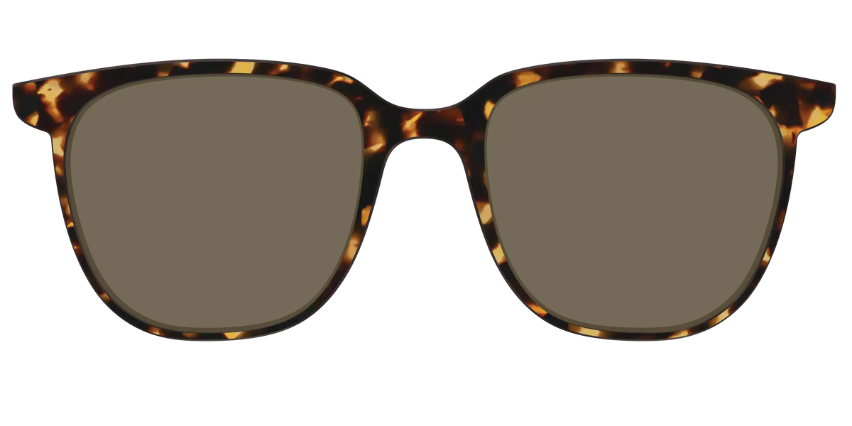 The Non-Polarized Tortoise Sun Top