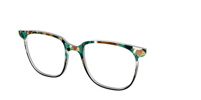 The Oxidized Copper Tortoise