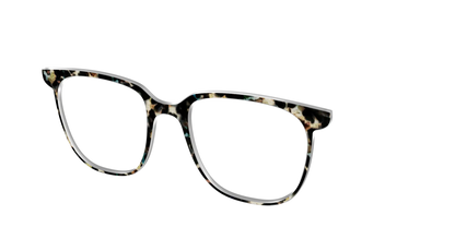 The Tumbled Teal Tortoise