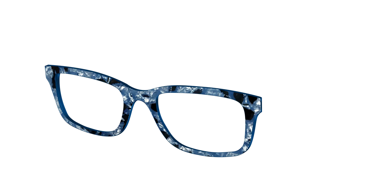 The Midnight Blue Pearl Tortoise