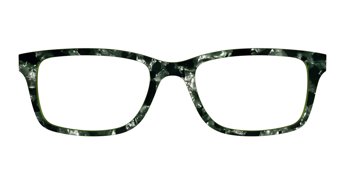 The Olive Pearl Tortoise