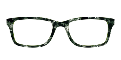 The Olive Pearl Tortoise