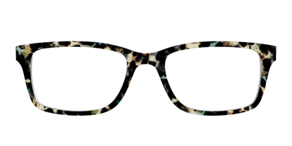 The Tumbled Teal Tortoise
