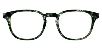 The Olive Pearl Tortoise