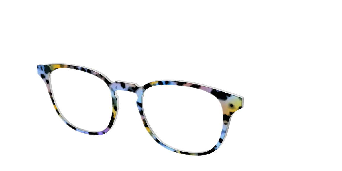 The Positano Tortoise