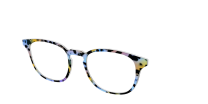 The Positano Tortoise