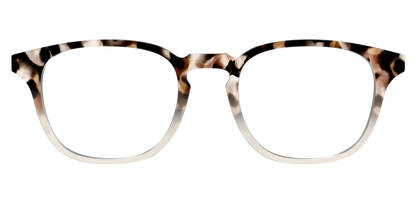 The Vanilla Latte Tortoise