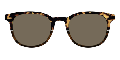The Polarized Chic Tortoise Split Sun Top