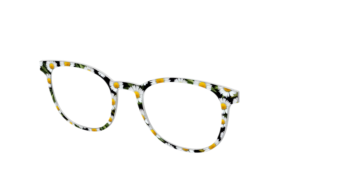 The Delicate Daisies