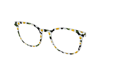 The Delicate Daisies