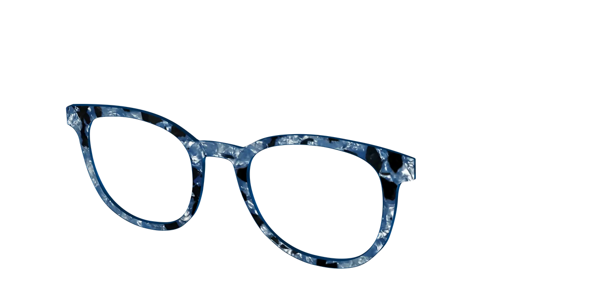 The Midnight Blue Pearl Tortoise