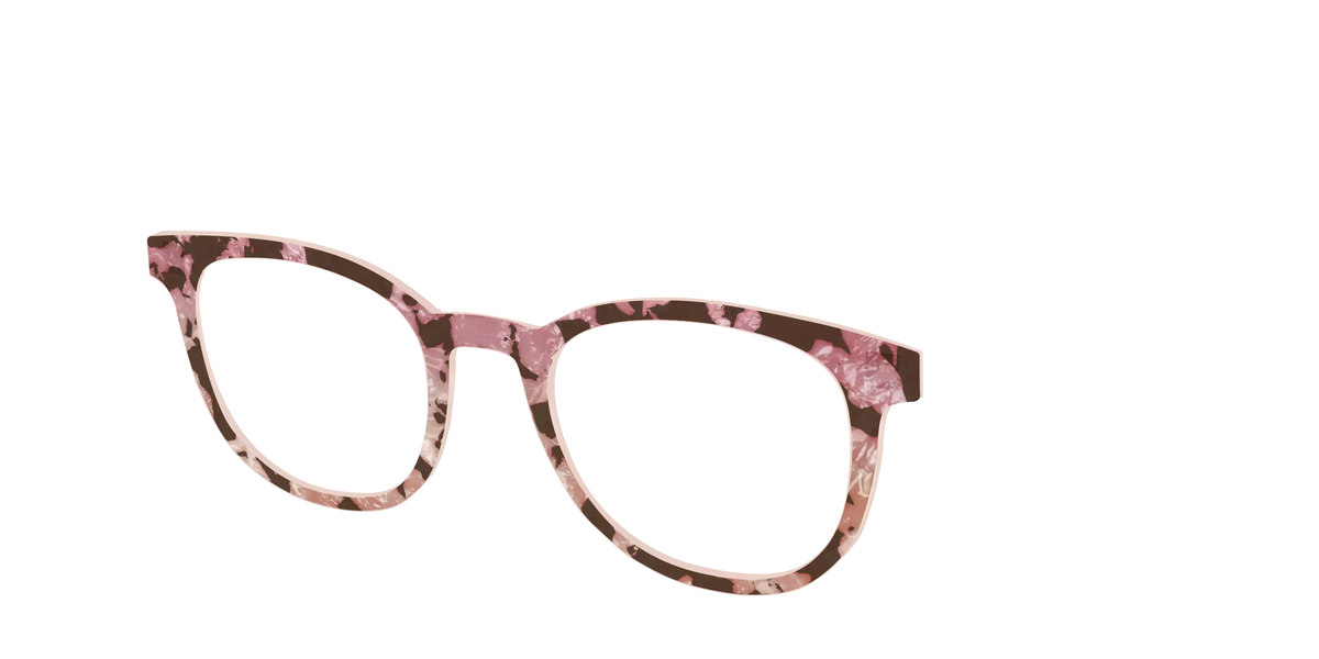 The Pale Peach Pearl Tortoise
