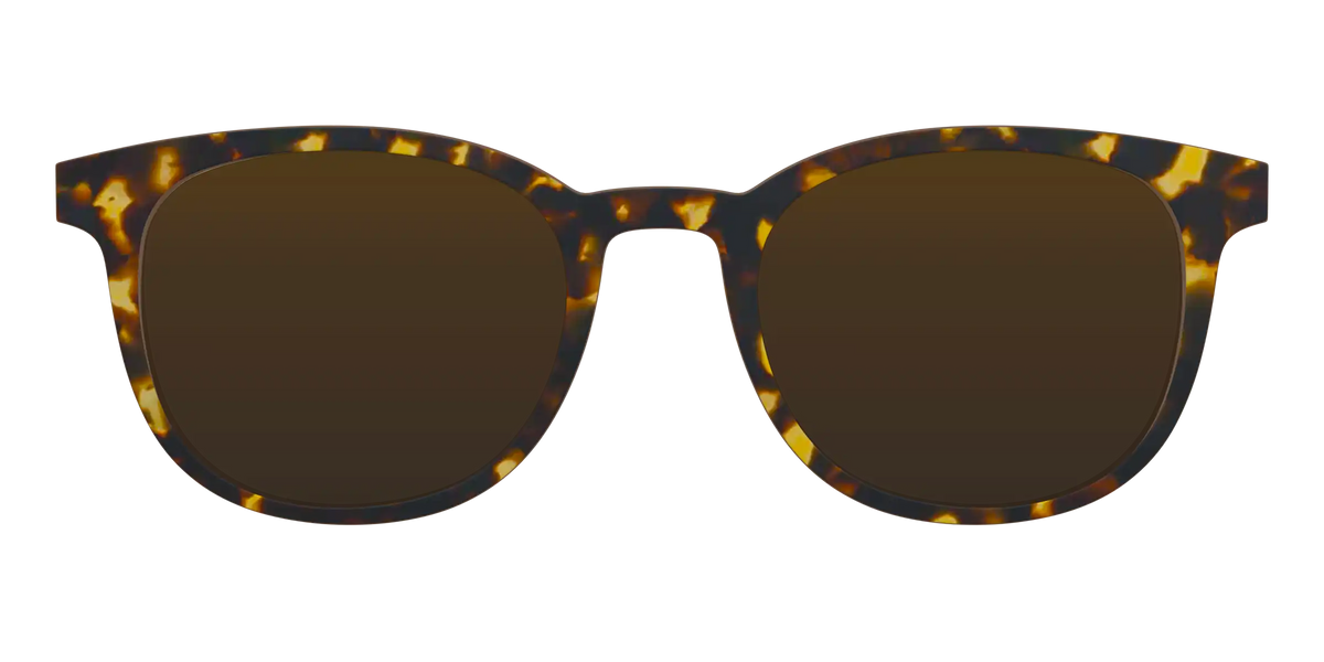 The Polarized Tortoise Sun Top