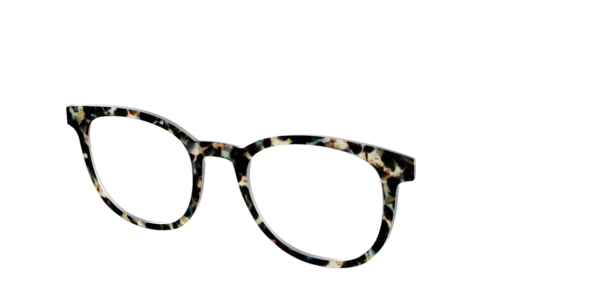 The Tumbled Teal Tortoise