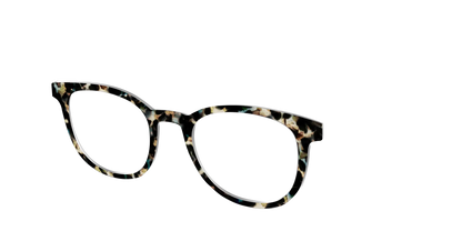The Tumbled Teal Tortoise