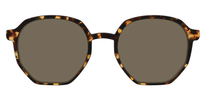 The Non-Polarized Tortoise Sun Top