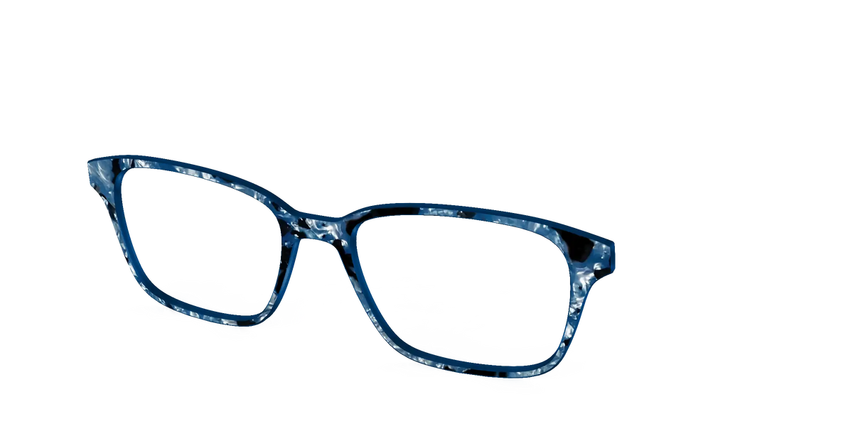 The Midnight Blue Pearl Tortoise