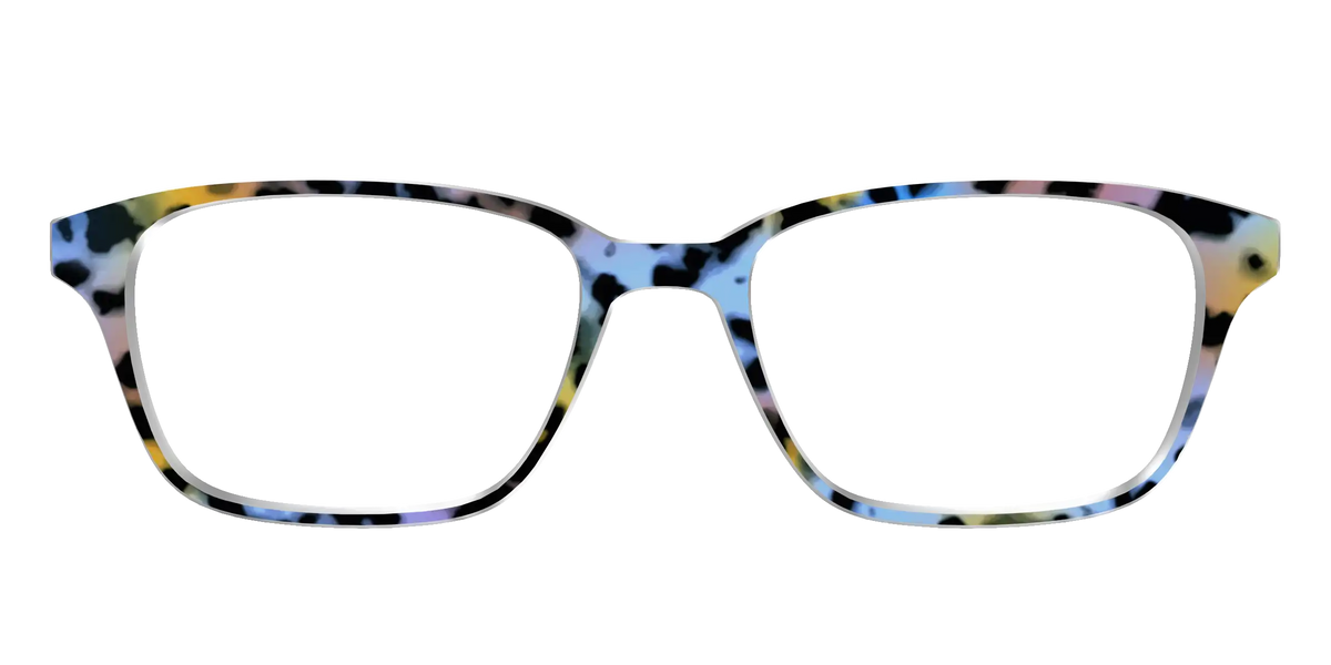 The Positano Tortoise