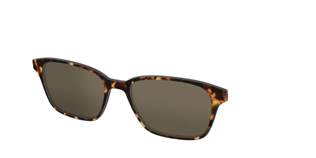 The Polarized Tortoise Sun Top