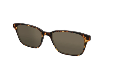 The Polarized Tortoise Sun Top