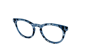 The Midnight Blue Pearl Tortoise