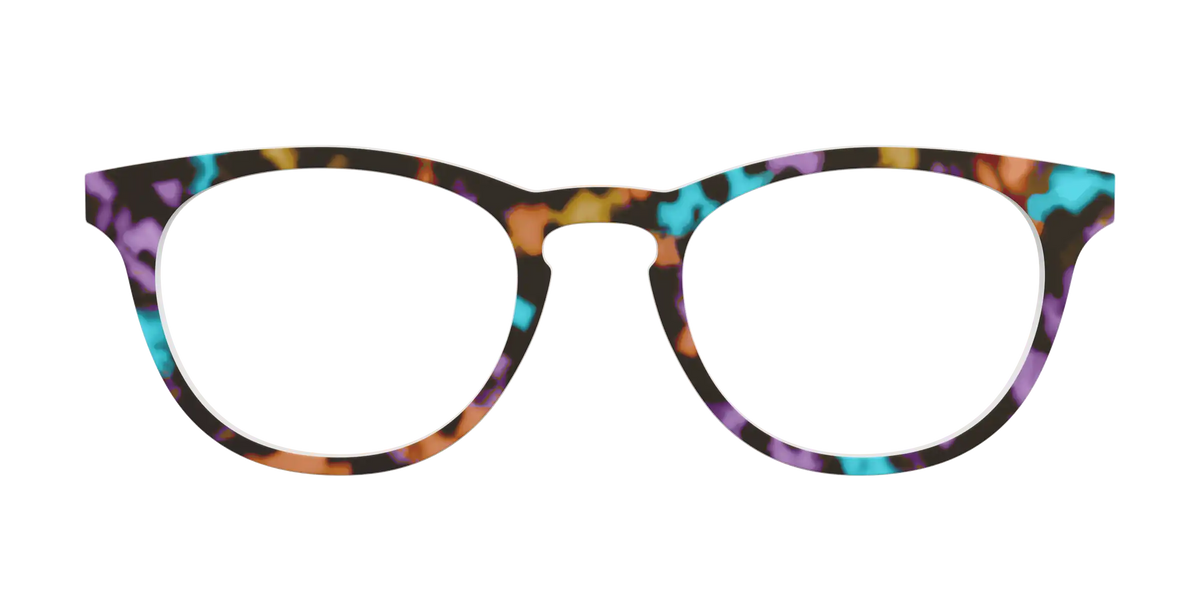 The Summer Tortoise