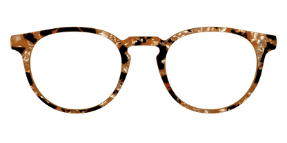 The Caramel Pearl Tortoise