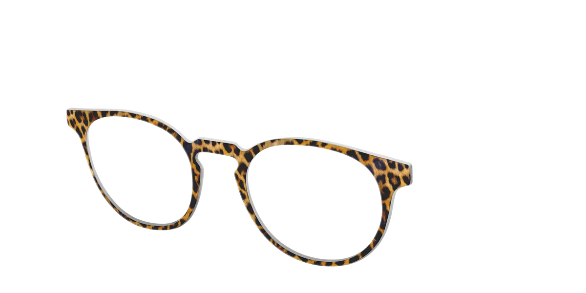 The Cheetah Spots