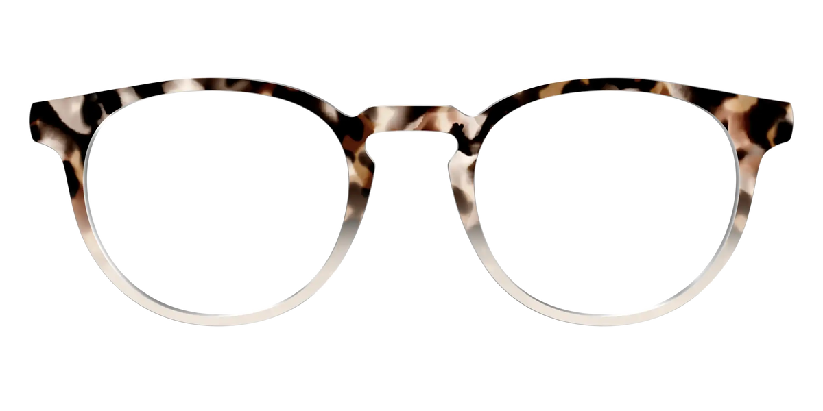 The Vanilla Latte Tortoise