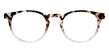 The Vanilla Latte Tortoise