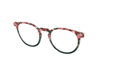 The Wintermint Tortoise