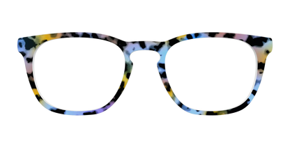 The Positano Tortoise