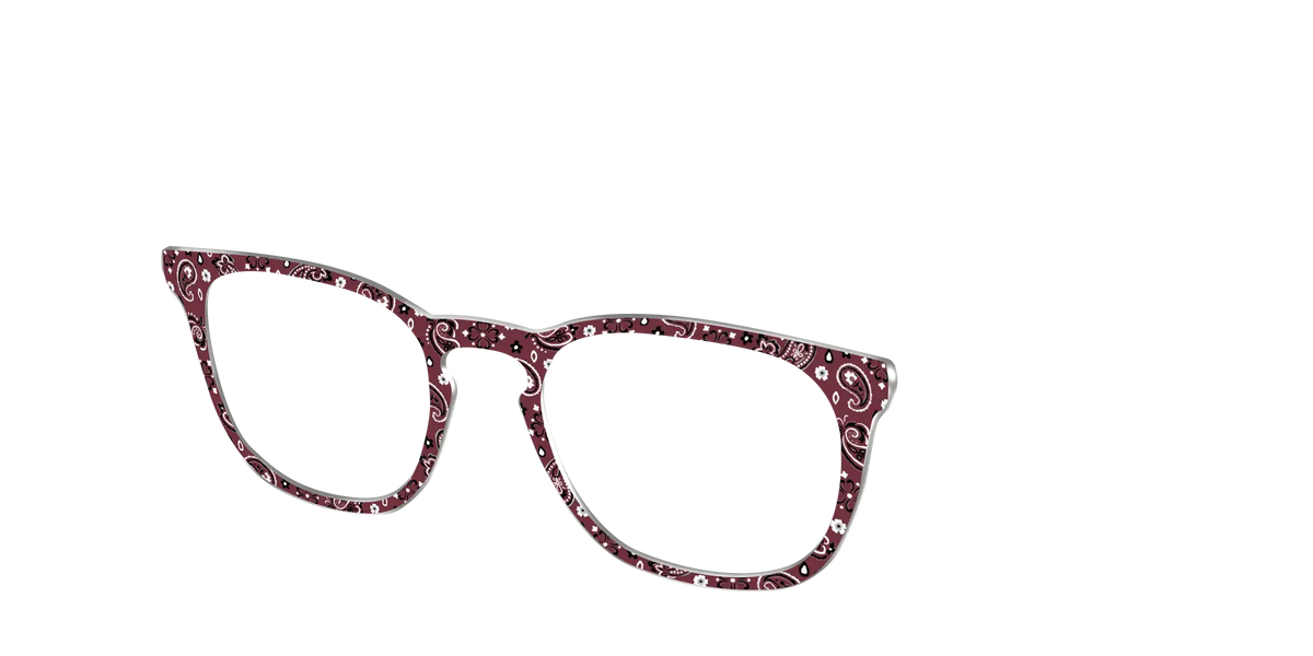 The Western Paisley