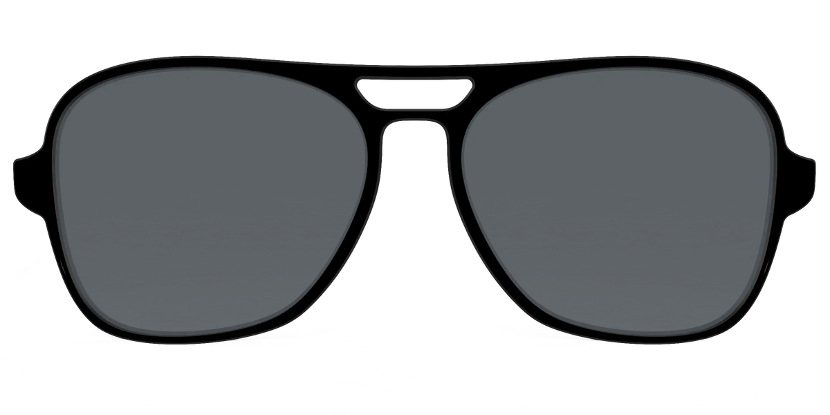 The Polarized Black Sun Top