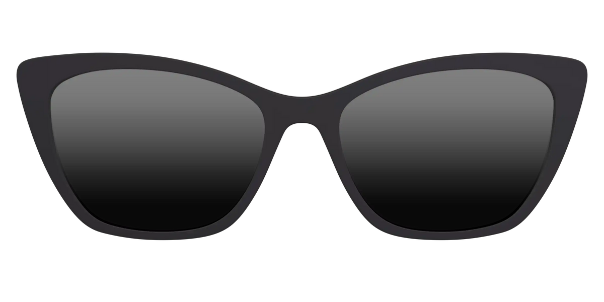 The Polarized Black Sun Top